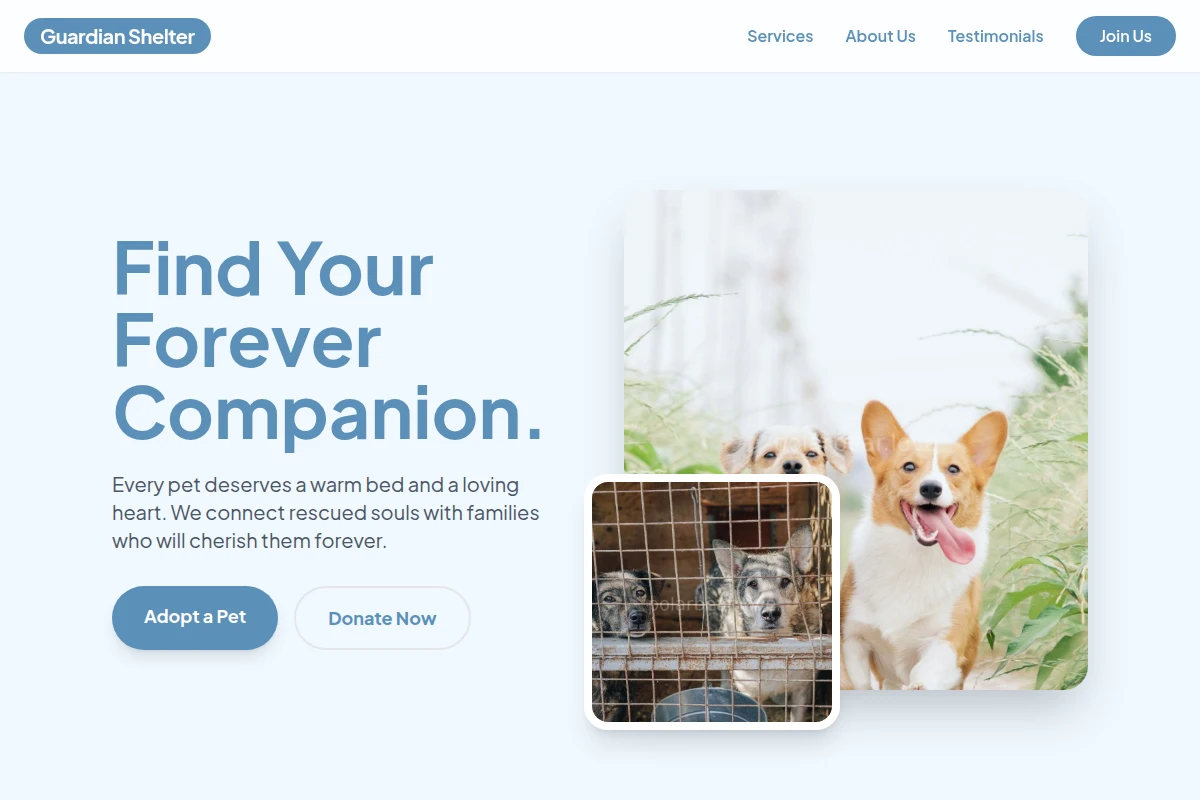 Guardian Animal Shelter