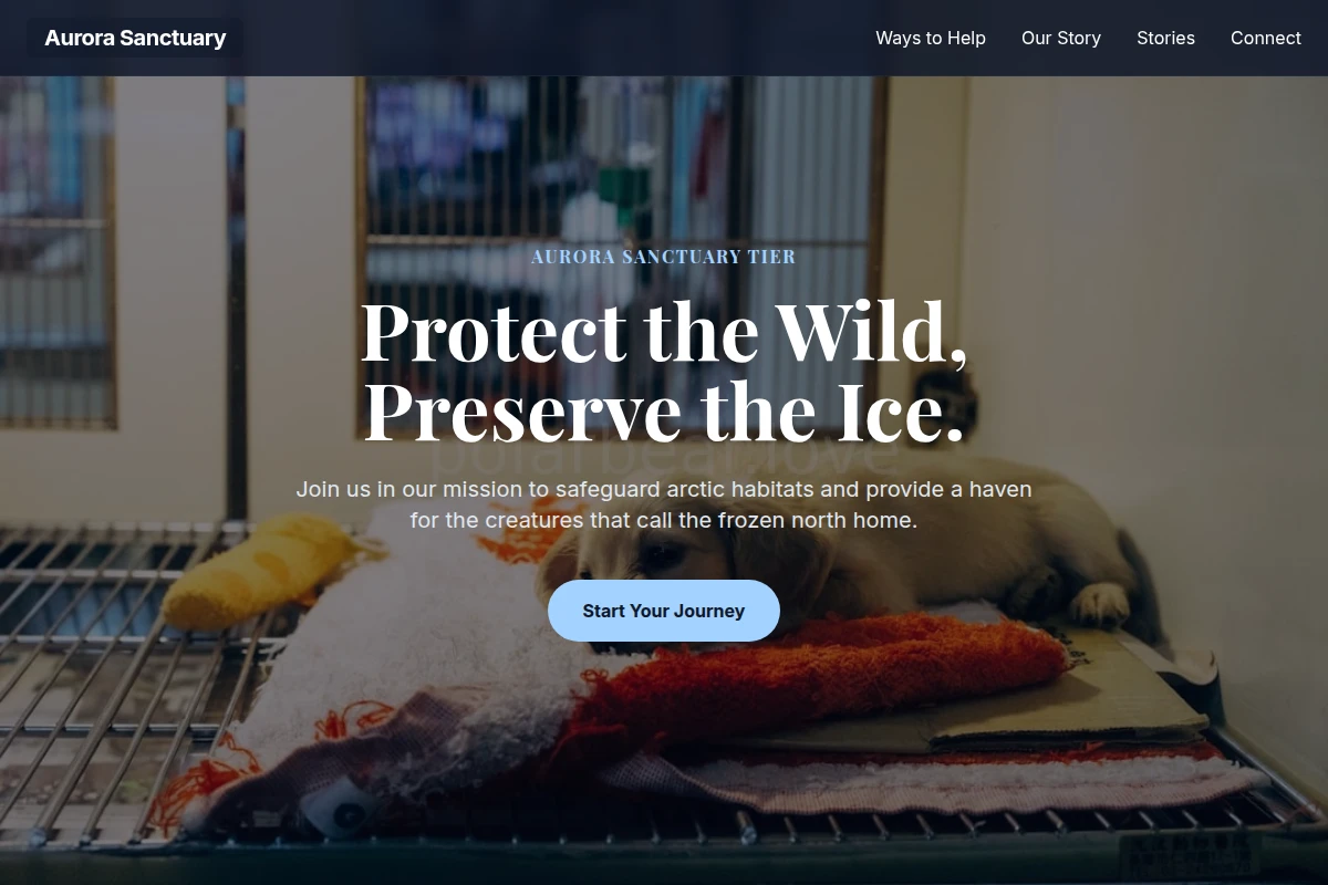 Premium Animal Care Website Design